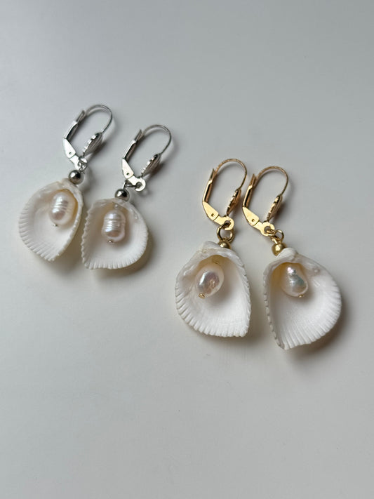 shell freshwater pearl earring